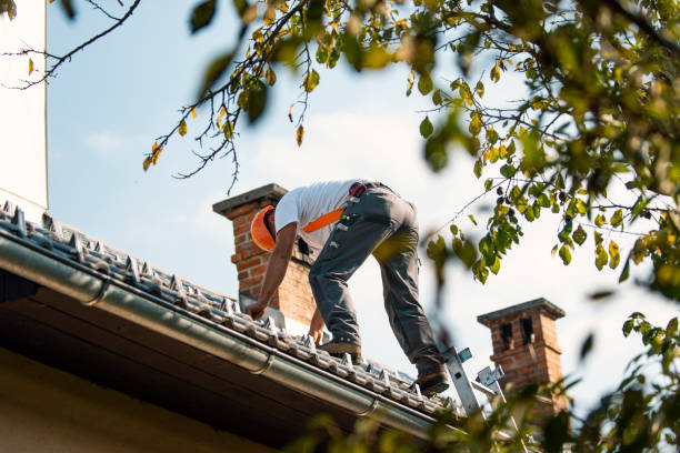 Best Chimney Flashing Repair  in Downey, CA