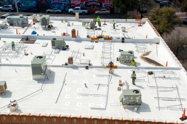 Best Asphalt Shingle Roofing  in Downey, CA
